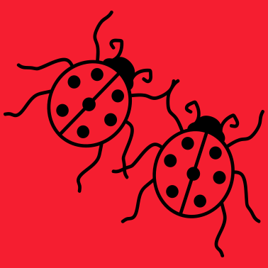 Motiv paar liebe paerchen 2 mama junge maedchen schwange