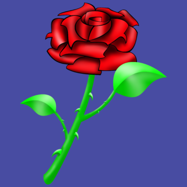 Motiv Rose