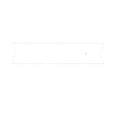 Motiv bachelor party support team party used