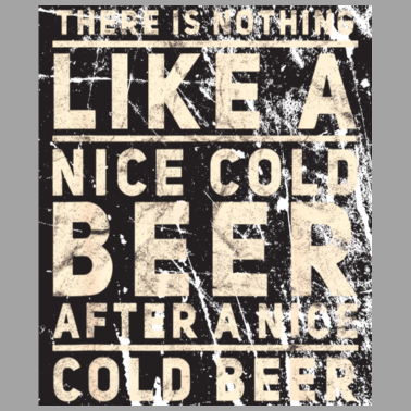 Motiv There is nothing like a nice cold beer Funny