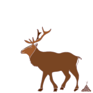 Motiv Junggesellenabschied