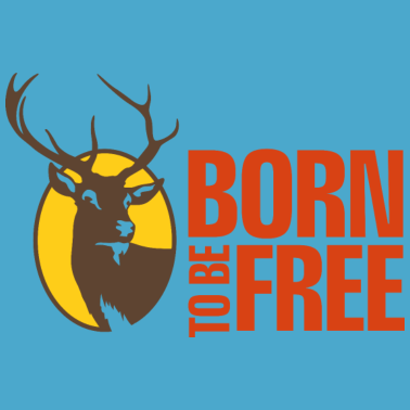 Motiv Junggesellenabschied