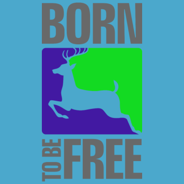 Motiv Junggesellenabschied