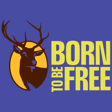 Motiv Junggesellenabschied