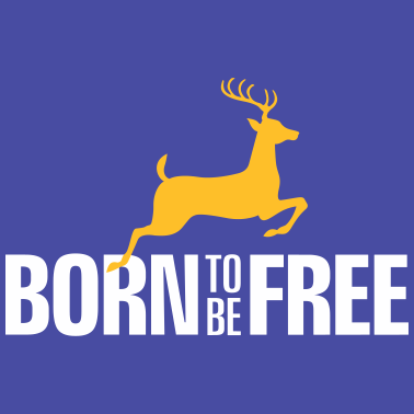 Motiv Junggesellenabschied