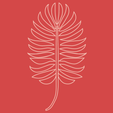 Motiv Greenery Blatt Monstera Pflanze Dschungel