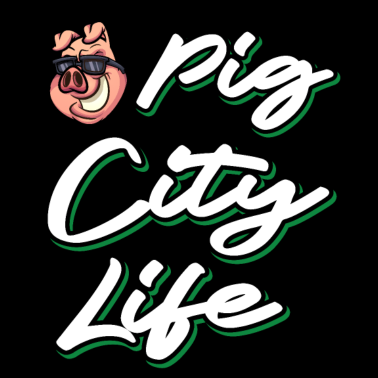 Motiv Schweinfurt Unterfranken Schwein Pig City Life