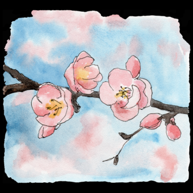 Motiv Kirschblüte Sakura