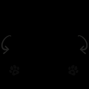 Motiv Vizsla Design für einen Vizsla Fan