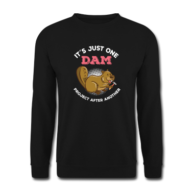 Einzug Pullover - It's just one dam project Häuser Hausbau Geschenk