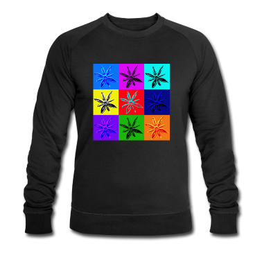 Einzug Pullover - Pop star