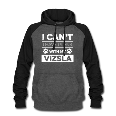 Einzug Hoodie - Vizsla Spruch für einen Vizsla Liebhaber
