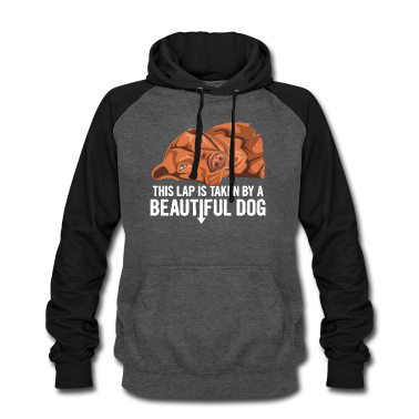 Einzug Hoodie - Hundfreund Spruch für einen Magyar Vizsla Besitzer