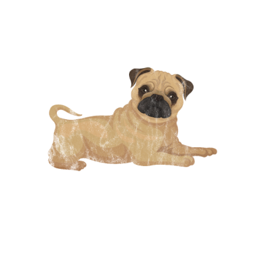 Motiv Mops - lustiger Spruch für Mops-Besitzer