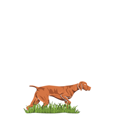 Motiv Vizsla Hund Design für einen Vizsla Liebhaber