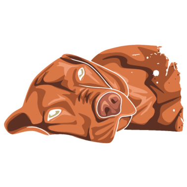 Motiv Vizsla Hund Design für einen Magyar Vizsla Fan