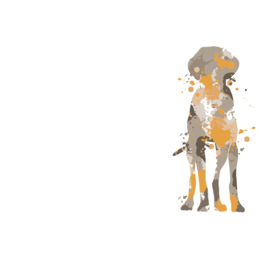 Motiv Vizsla Spruch für einen Vizsla Liebhaber