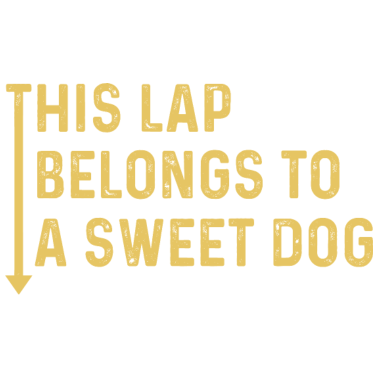 Motiv Vizsla Hund Design für einen Vizsla Liebhaber