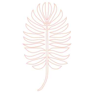 Motiv Greenery Blatt Monstera Pflanze Dschungel