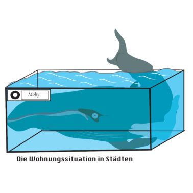 Motiv Wal Moby