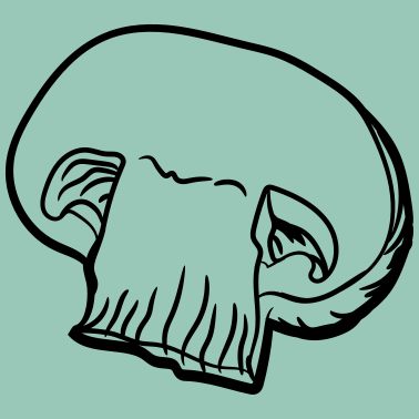 Motiv halber pilz durchgeschnitten champignon essen leck