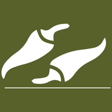 Motiv Koch kochen backen