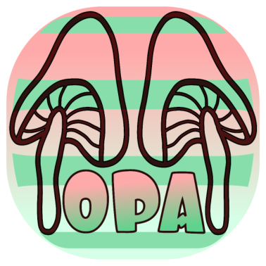 Motiv OPA PILZSAMMLER PILZE SAMMELN WALD HERBSTANFANG