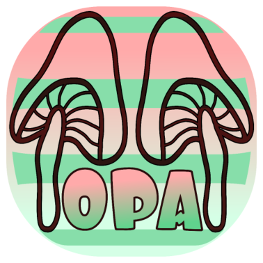 Motiv OPA PILZSAMMLER PILZE SAMMELN WALD HERBSTANFANG