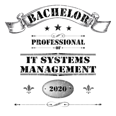 Motiv Bachelor Professional IT Systems Manager vintage