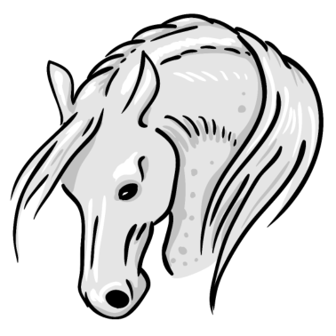 Motiv Horse Portrait