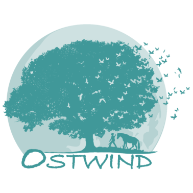 Motiv Ostwind Aris Ankunft Mond, Baum und Vögel türkis