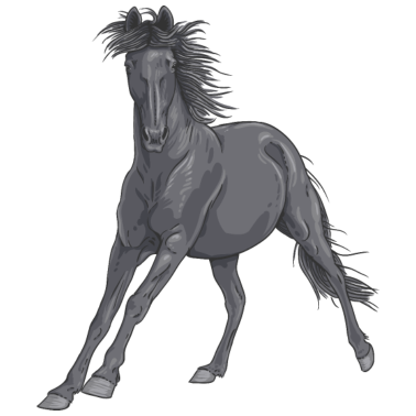 Motiv horse