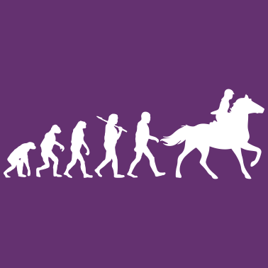 Motiv Evolution of Reiten