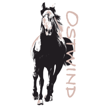 Motiv OSTWIND Aufbruch Nach Ora Ostwind Im Galopp