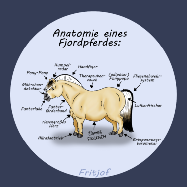 Motiv Anatomie eines Fjordpferdes