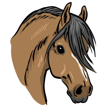 Motiv Horse Portrait