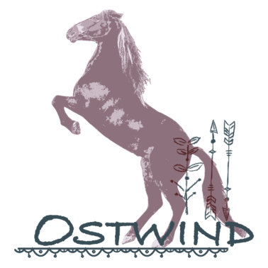 Motiv OSTWIND Aufbruch Nach Ora Hengst Steigt Pfeil