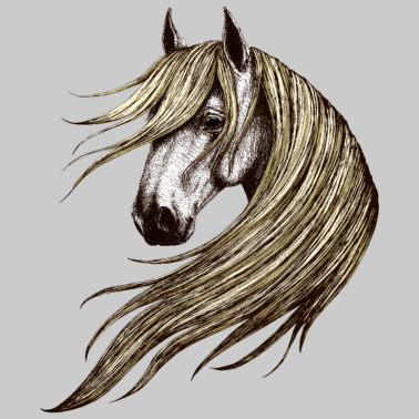 Motiv Pferd