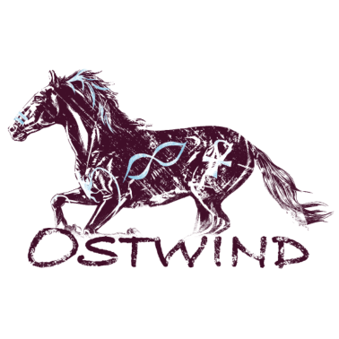 Motiv OSTWIND Aufbruch Nach Ora Ostwind Im Galopp