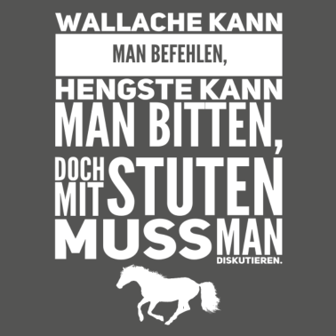 Motiv Pferd
