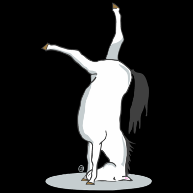 Motiv Yoga Pferd MP