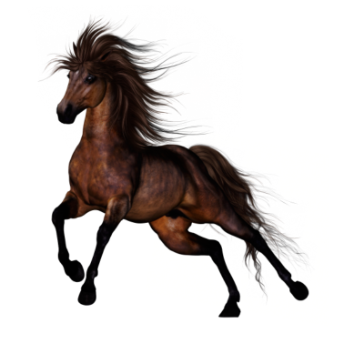 Motiv Brown Wild Horse