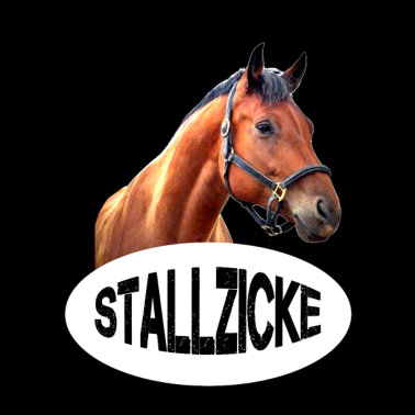 Motiv Pferd Pferde Stallzicke