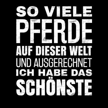 Motiv So viele Pferde auf dieser Welt, reiten, Geschenk