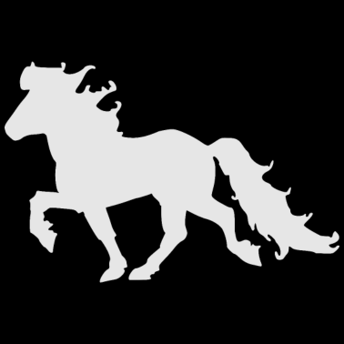 Motiv Islandpferd, Tölter, Tölt