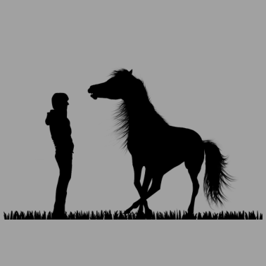 Motiv Mädchen und spielendes Pferd