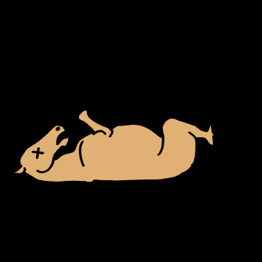 Motiv Totes Pferd
