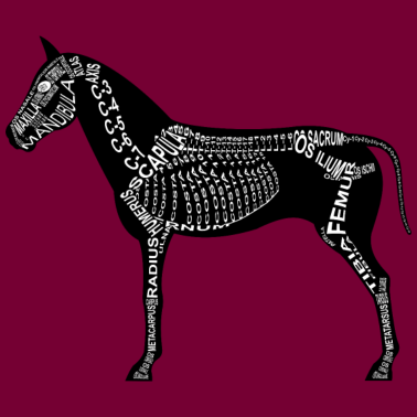 Motiv Pferde-Skelett