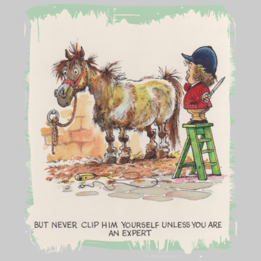 Motiv Thelwell Cartoon Pony beim Friseur