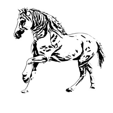 Motiv Pferd